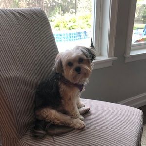 Meet your Posher, Heather